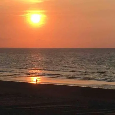 With Sea View Near Belgian Coast 아파트 *