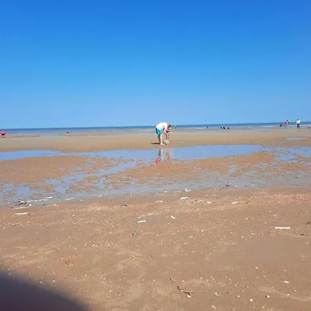 With Sea View Near Belgian Coast 아파트