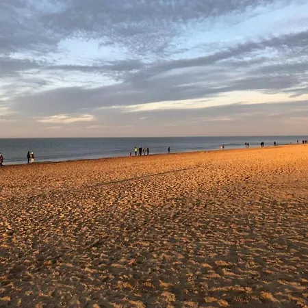 With Sea View Near Belgian Coast 아파트 *