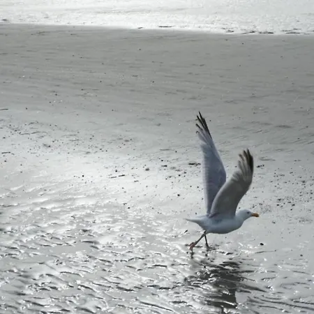 With Sea View Near Belgian Coast 아파트 코크시데