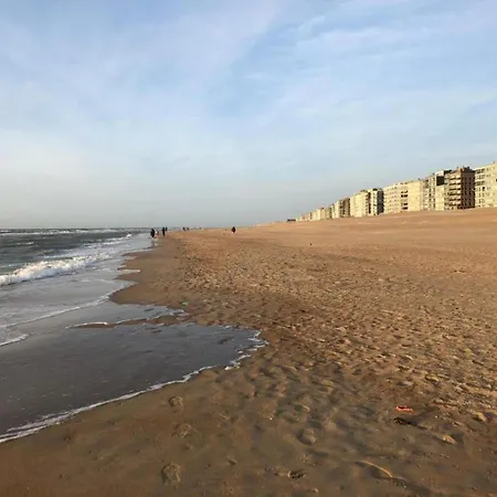 Appartement With Sea View Near Belgian Coast Coxyde