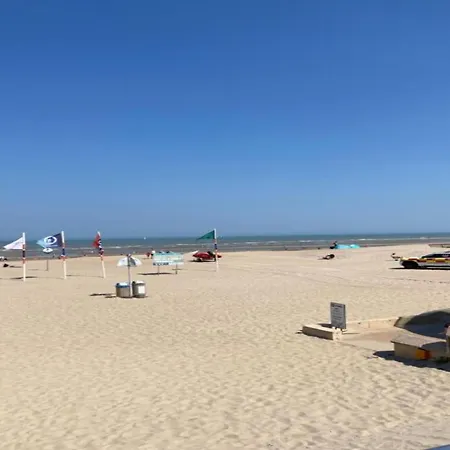 With Sea View Near Belgian Coast 코크시데
