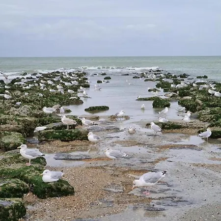 아파트 With Sea View Near Belgian Coast 코크시데
